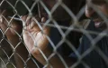 Preso marroquí cumple condena en Irak pero sigue sin libertad : La lucha por su repatriación