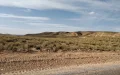 Protesta en Figuig : Terratenientes claman justicia ante el Rey por despojo de tierras