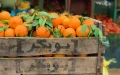 Por qué tus naranjas se volverán más caras