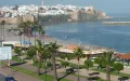 Rabat replantea su paisaje urbano : El debate sobre las palmeras Washingtonia divide a expertos y ciudadanos