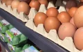 Ramadán y crisis avícola : Polémica por declaraciones sobre escasez de huevos en Francia