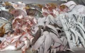 Ramadán en Marruecos : La crisis del pescado dispara los precios y alarma a consumidores