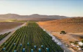 El Sahara marroquí transforma el agua de mar en tierras agrícolas