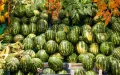 La sandía marroquí, acusada de hacer caer los precios a 24 céntimos en España
