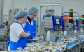 Saupiquet cierra en Francia : Traslada su producción de conservas a Marruecos y España