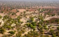 Tras la sequía, el bosque de arganes de Essaouira no recupera su estado anterior