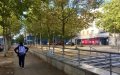 Sicario falla por cuarta vez : El joven que burla a la muerte en una guerra de clanes