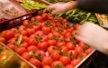 El tomate marroquí desata polémica en Francia : ¿Proteccionismo o competencia justa ?