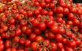 Tomates a 5 € el kilo : ¡Por qué la crisis en Marruecos dispara tu ticket de la compra en Francia !