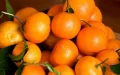 Los tomates y las mandarinas impulsan las exportaciones agrícolas marroquíes hasta 2,38 millones de toneladas