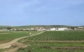 Tragedia en Ksar El Kébir : Disputa familiar por tierras termina en homicidio