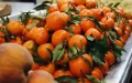 La UE evalúa imponer tratamiento en frío a cítricos marroquíes tras presión valenciana