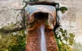 Vinieron buscando sanación, bebieron agua contaminada