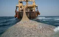 Un virus detectado en sardinas de Sudáfrica preocupa hasta en Marruecos