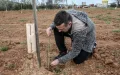 Viticultores catalanes apuestan por el argán : La innovación frente a la sequía