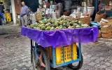 Revolución en los campos marroquíes : Invernaderos salvan al higo chumbo de la crisis