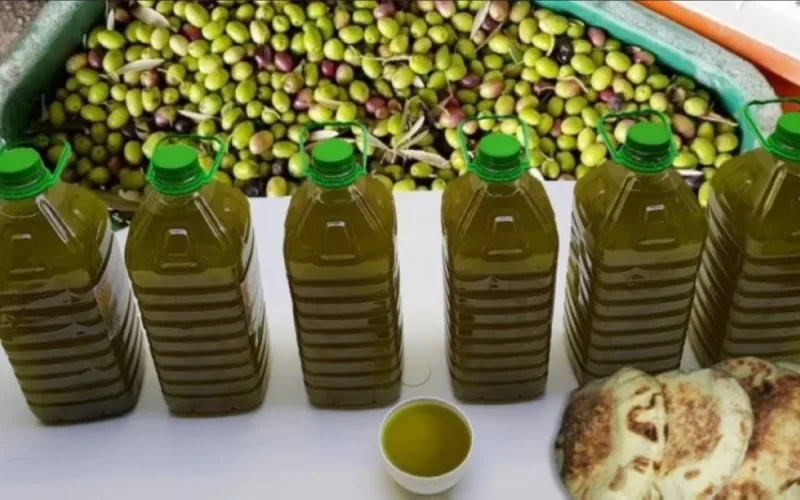Aceite de oliva : se incautan 6.500 litros, la caza de productos adulterados se acelera en el norte de Marruecos