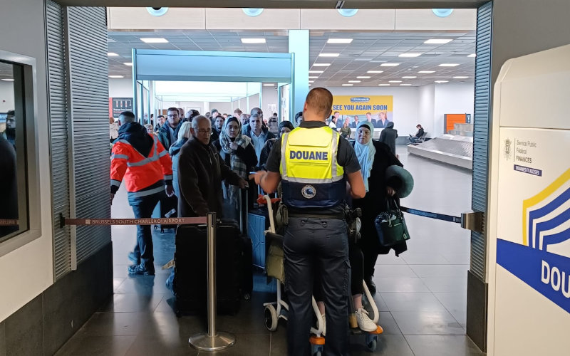 Aduanas belgas descubren tortugas protegidas en maleta de turista holandés