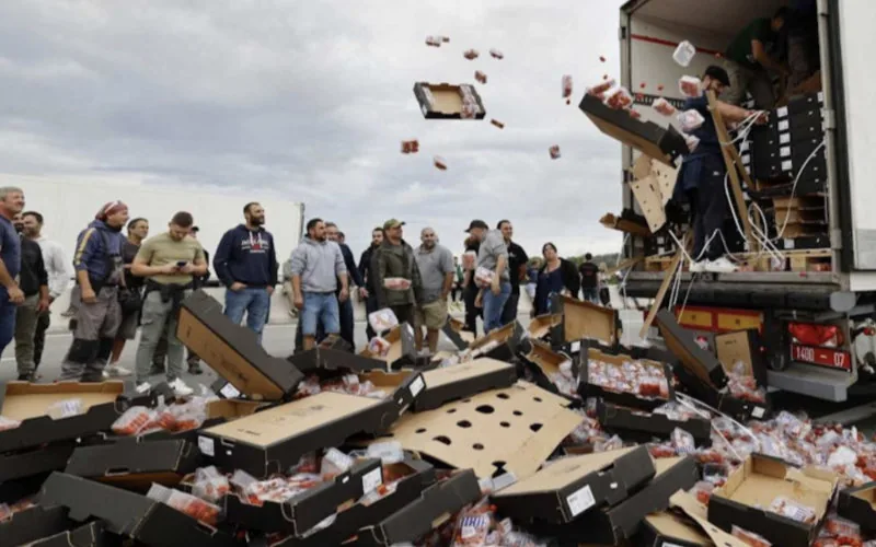 Agricultores franceses bloquean importación de tomates marroquíes en Perpiñán