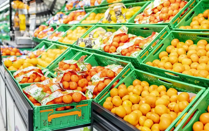 Alerta alimentaria : España podría depender de Marruecos en 10 años, advierte SOS Rural