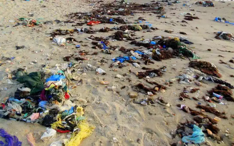 Alerta en Marruecos : 22 playas prohibidas para bañarse este verano 2024