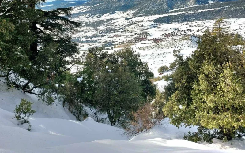 Alerta meteorológica en Marruecos : Se esperan hasta -9°C y 20 cm de nieve