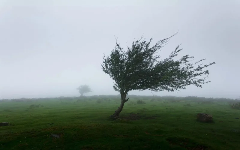 Alerta naranja en Marruecos : Vientos de hasta 95 km/h azotan varias provincias