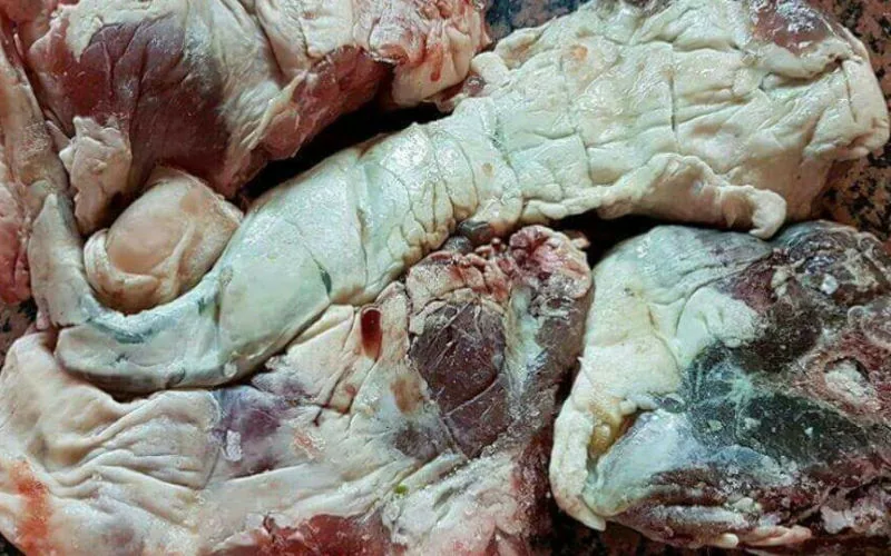 Alerta sanitaria : Cómo evitar carne contaminada durante el Aïd Al-Adha en Marruecos