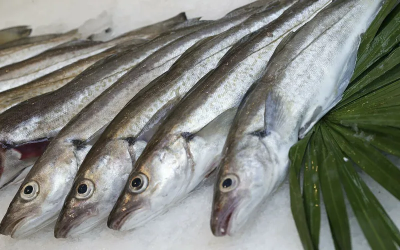 Alerta sanitaria : España retira pescado marroquí por riesgo de Anisakis