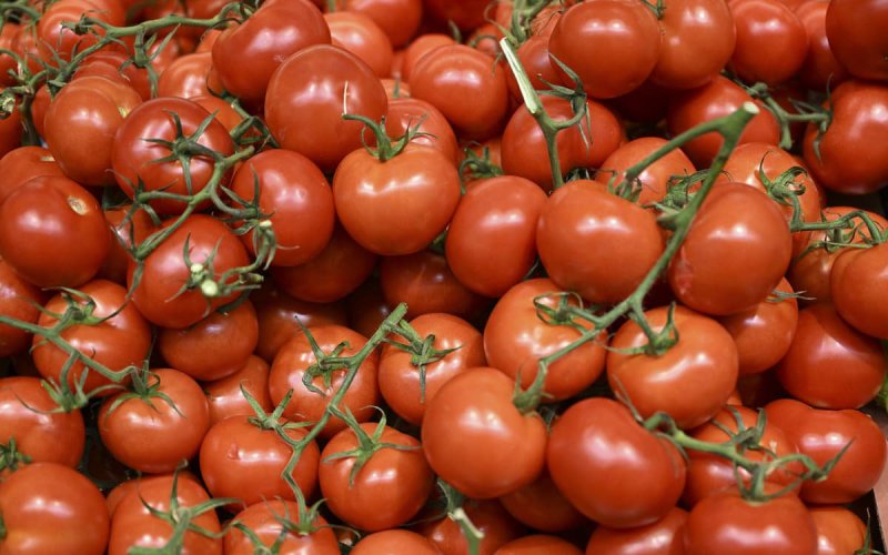 Alerta sanitaria : Tomates españoles contaminados con pesticidos peligrosos