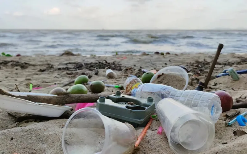 Alerta en Tánger : Contaminación convierte playas emblemáticas en zonas de riesgo