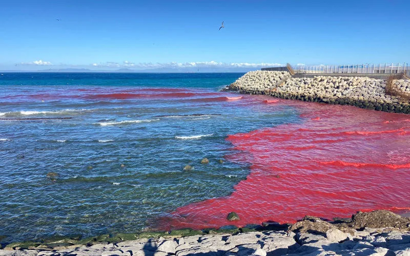 Alerta en Tánger : Sustancia misteriosa tiñe de rojo la playa de Merkala