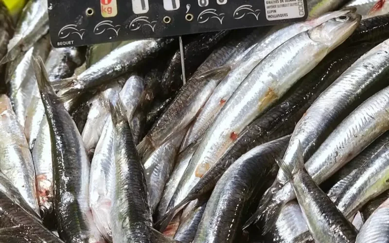 Anchoas procedentes de Marruecos provocan una alerta alimentaria en Francia