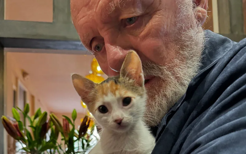Anthony Hopkins explora Marruecos : De gatos y aventuras en Ouarzazate