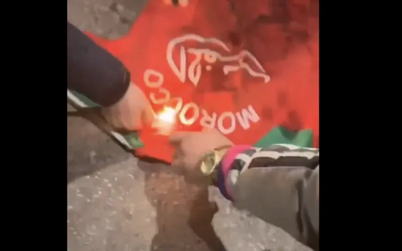 Argelia celebra : La sorpresiva caída de Marruecos en la Copa Africana enciende las calles
