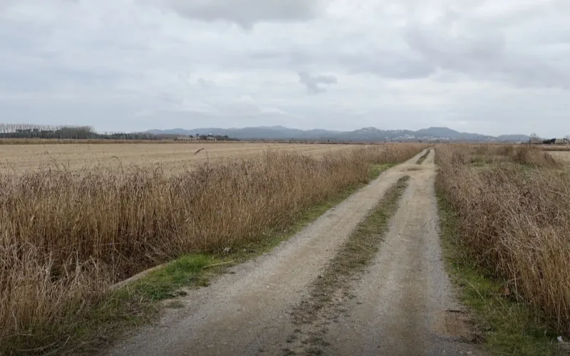 Brutal feminicidio en Gerona : Hallan apuñalada a Fatima, camarera marroquí de 45 años