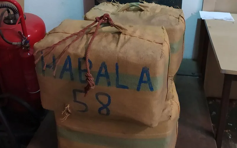 Camionero marroquí enfrenta 5 años de cárcel y multa millonaria por tráfico de cannabis en Francia