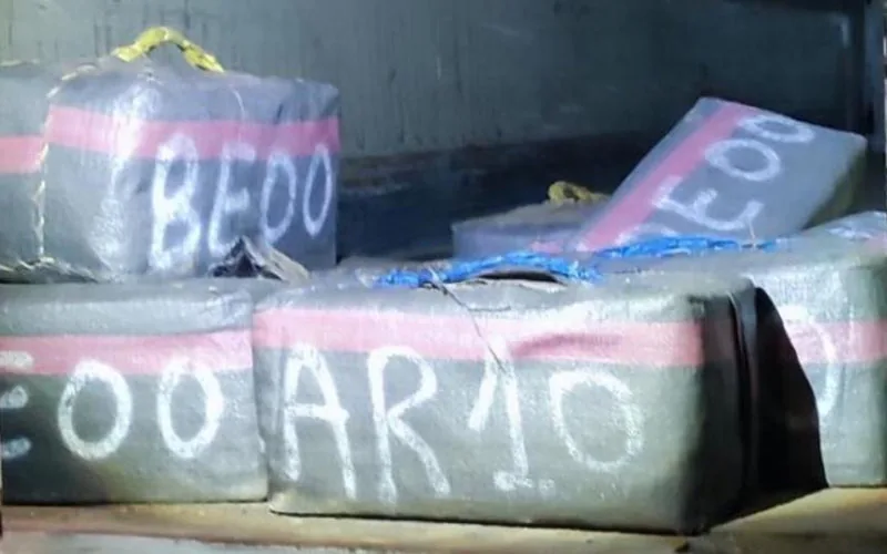 Camionero marroquí enfrenta multa millonaria y cárcel por tráfico de cannabis en Francia