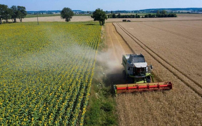 Cáncer de páncreas : un médico cuestiona el cadmio presente en algunos fertilizantes marroquíes