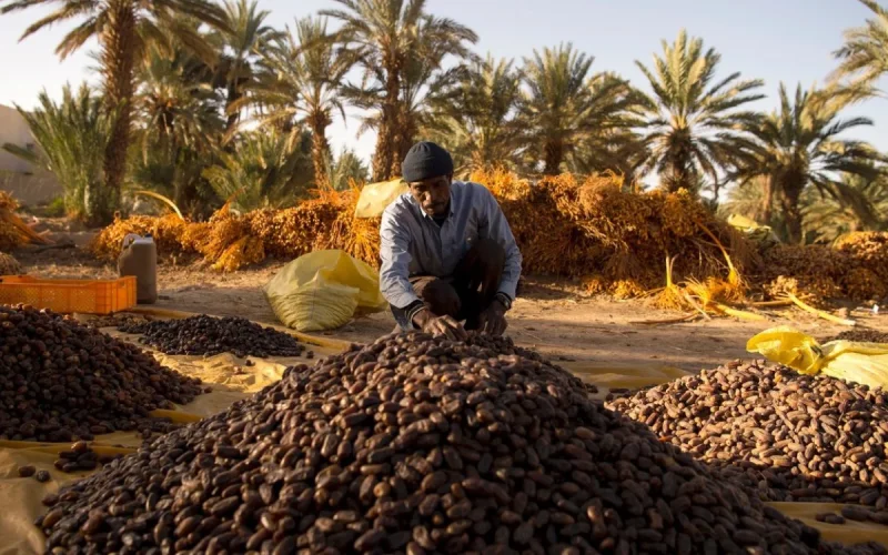 Fès se transforma : 1.780 millones para modernizar vías ante el Mundial 2030