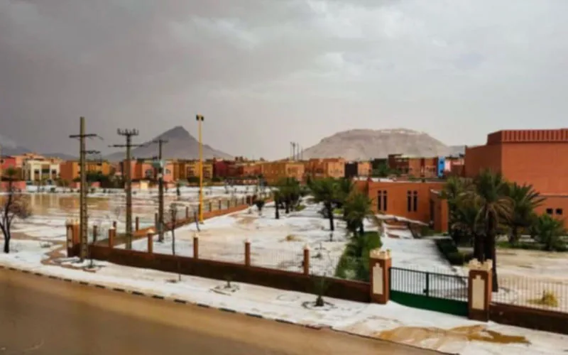 Crisis agrícola en Marruecos : Granizo y nevadas arrasan cultivos de sandía en Zagora