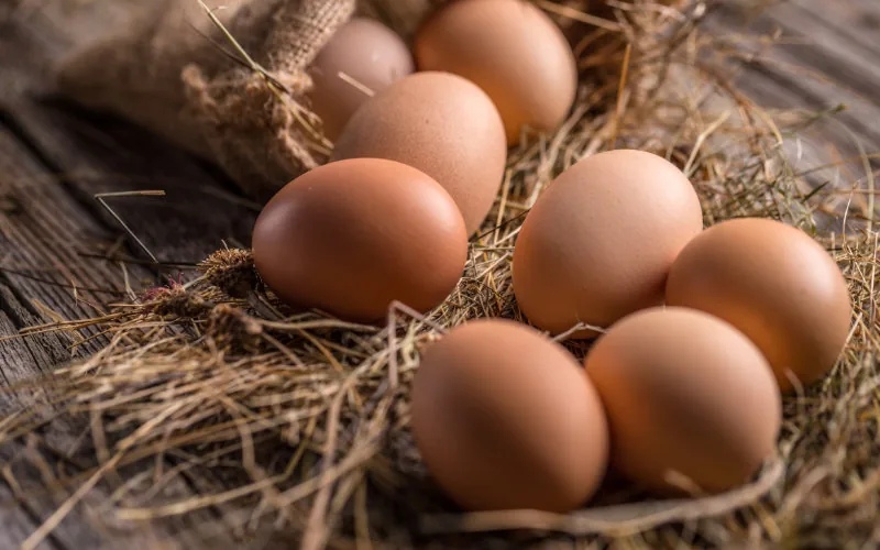 Crisis alimentaria en Marruecos : El precio de los huevos se dispara en Rabat