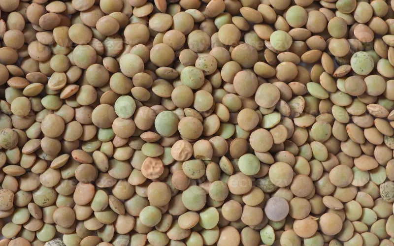 Crisis alimentaria en Marruecos : El precio de las lentejas se duplica y alarma a los consumidores