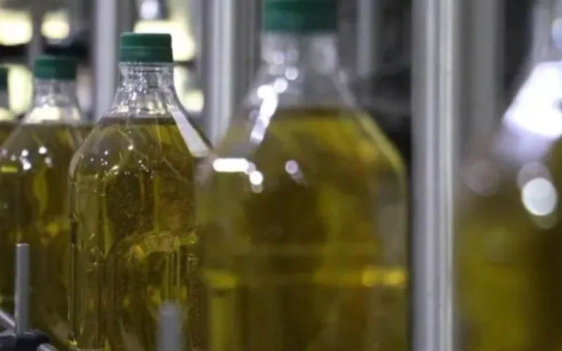 Crisis del aceite de oliva en Marruecos : Precios disparados y fraude alarmante