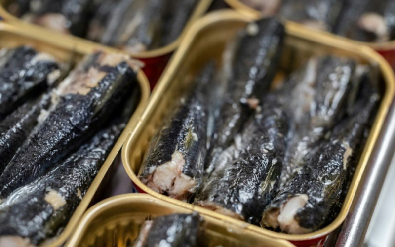 Crisis de la sardina : Francia se queda sin su aperitivo favorito por la sobrepesca marroquí