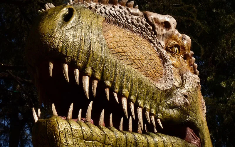 Descubren contrabando de fósiles : Dientes de dinosaurio marroquíes interceptados en la frontera europea