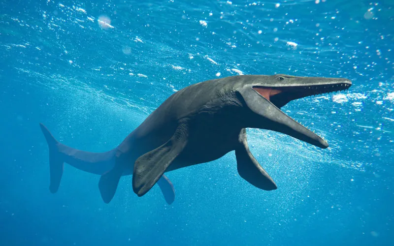 Descubren en Marruecos al Thalassotitan atrox : el temible mosasaurio que dominaba los océanos prehistóricos