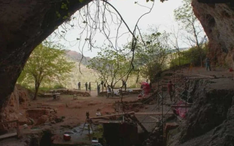 Descubren en Marruecos el uso de plantas medicinales hace 15.000 años : revolución en la arqueología prehistórica