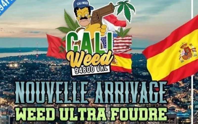 Desmantelan red Caliweed : Detienen a fugitivo clave en Orly tras operación antidrogas