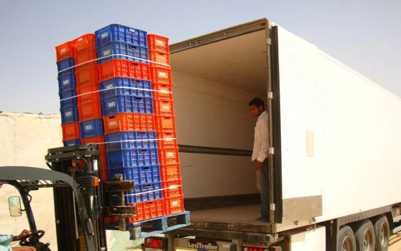 Egipto frena exportaciones a Marruecos : Crisis aduanera afecta comercio alimentario